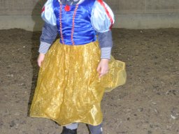 DSC_0269-2_web
